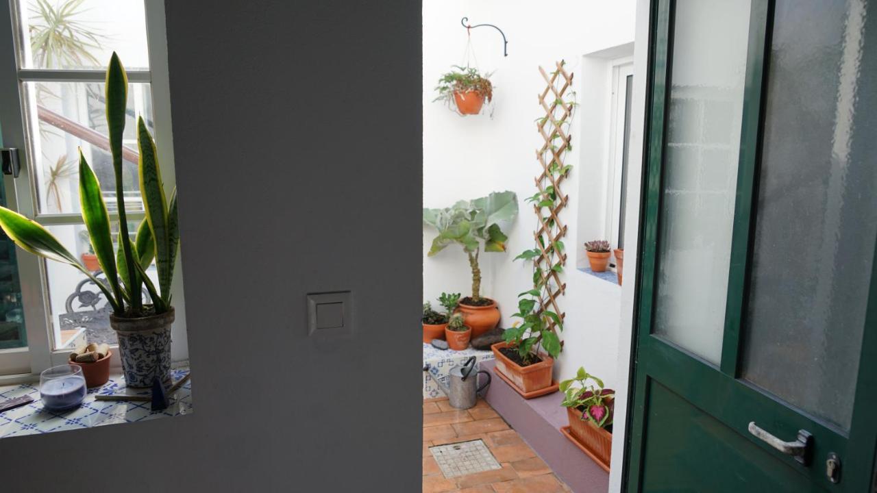 הוילה הורטה Casa Volta Do Mar מראה חיצוני תמונה